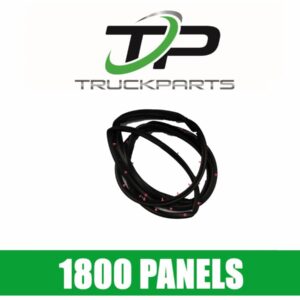 LH DOOR SEAL WITH CLIPS